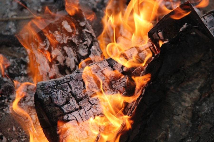 Fuel & Wood