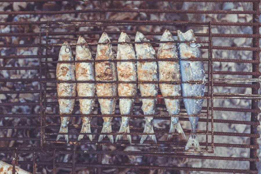 Gas Grills