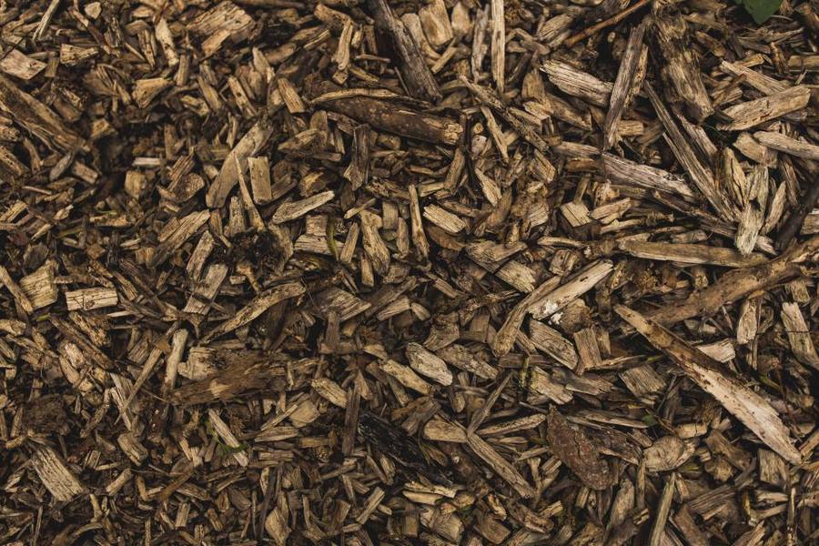 Fuel & Wood